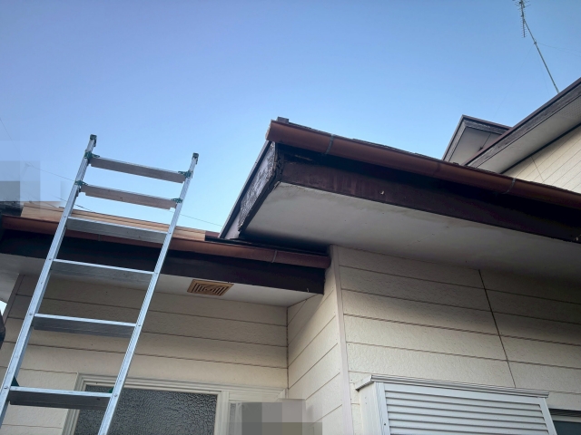 軒天の傷みを放置した場合の拡大リスクを踏まえて全体を確認することが重要